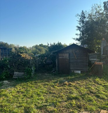 Élagage Baum Paysage 10