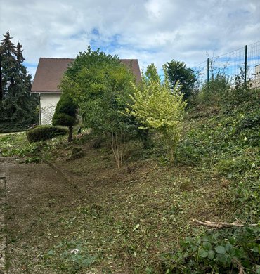 Création de massif Baum Paysage 63