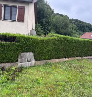 Taille de haie Baum Paysage 66
