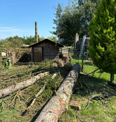 Élagage Baum Paysage 7