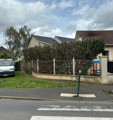 Taille de haie Baum Paysage 71