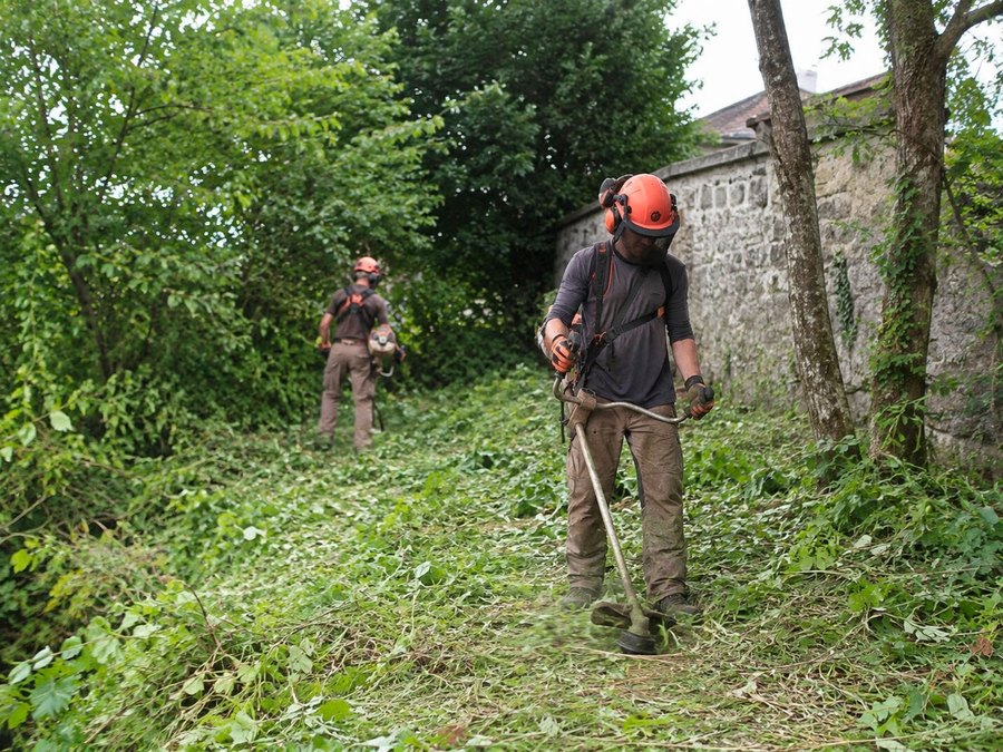 Débroussaillage Baum Paysage à Coubron (93470) et en Seine-Saint-Denis (93)